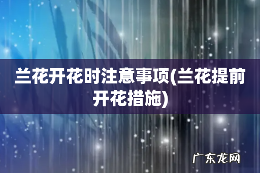 兰花提前开花措施 兰花开花时注意事项