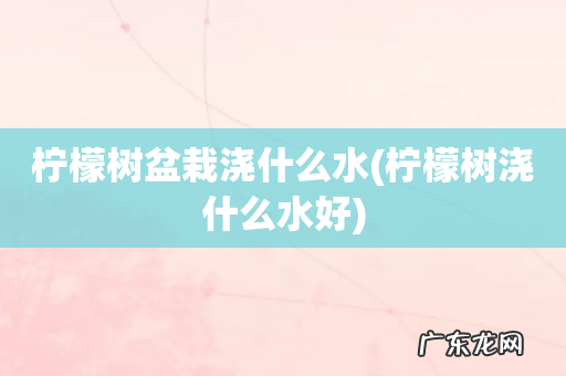 柠檬树浇什么水好 柠檬树盆栽浇什么水