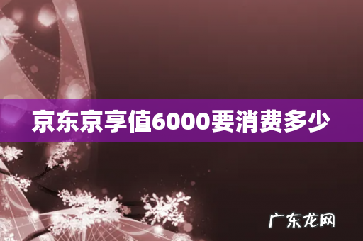 京东京享值6000要消费多少