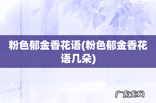 粉色郁金香花语几朵 粉色郁金香花语
