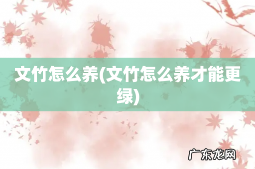 文竹怎么养才能更绿 文竹怎么养