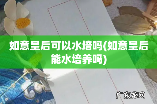 如意皇后能水培养吗 如意皇后可以水培吗