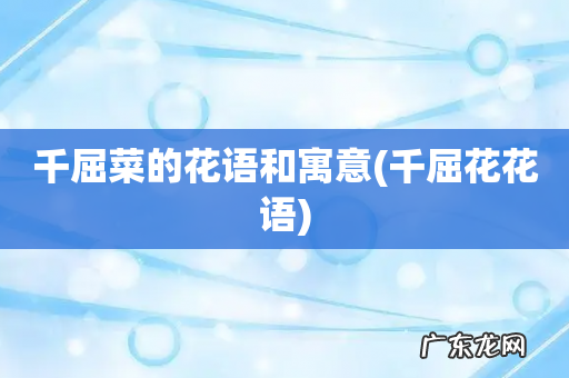 千屈花花语 千屈菜的花语和寓意