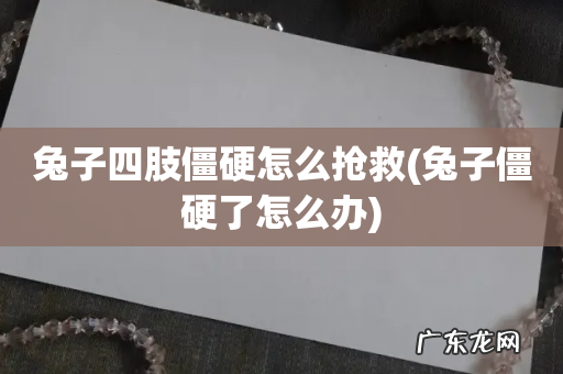 兔子僵硬了怎么办 兔子四肢僵硬怎么抢救