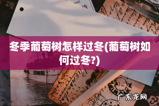 葡萄树如何过冬? 冬季葡萄树怎样过冬