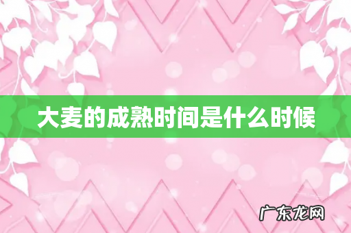 大麦的成熟时间是什么时候