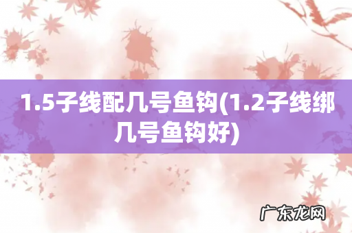 1.2子线绑几号鱼钩好 1.5子线配几号鱼钩