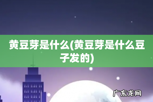 黄豆芽是什么豆子发的 黄豆芽是什么