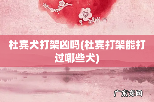 杜宾打架能打过哪些犬 杜宾犬打架凶吗