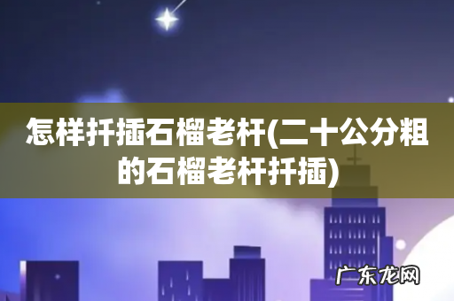 二十公分粗的石榴老杆扦插 怎样扦插石榴老杆