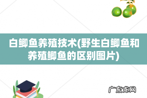 野生白鲫鱼和养殖鲫鱼的区别图片 白鲫鱼养殖技术