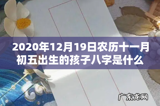 2020年12月19日农历十一月初五出生的孩子八字是什么