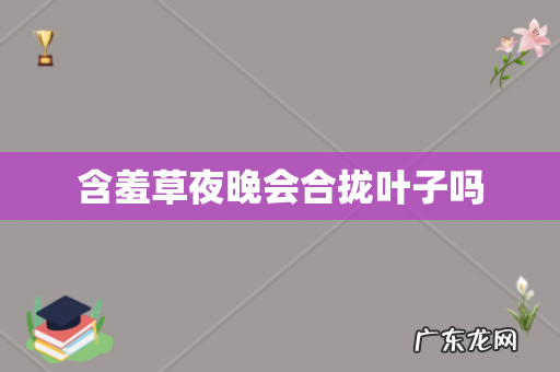 含羞草夜晚会合拢叶子吗