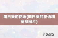 向日葵的花语和寓意图片 向日葵的花语