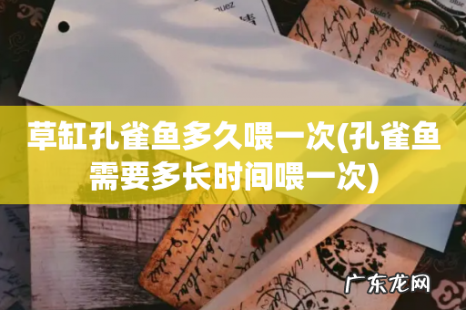 孔雀鱼需要多长时间喂一次 草缸孔雀鱼多久喂一次