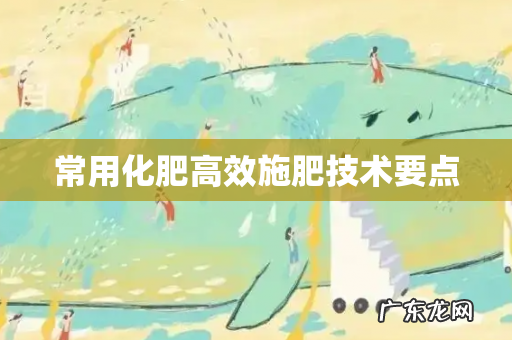 常用化肥高效施肥技术要点