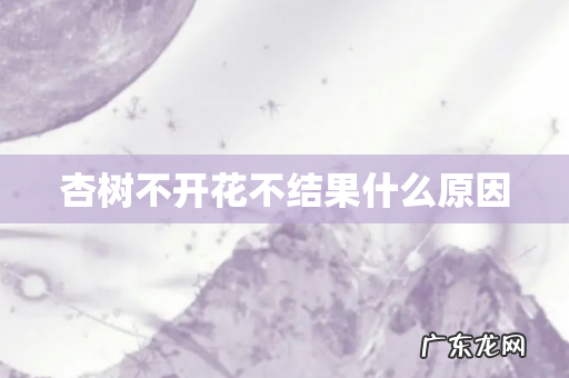 杏树不开花不结果什么原因