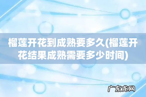 榴莲开花结果成熟需要多少时间 榴莲开花到成熟要多久