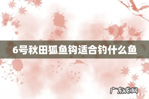 6号秋田狐鱼钩适合钓什么鱼