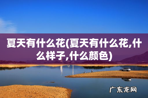 夏天有什么花,什么样子,什么颜色 夏天有什么花