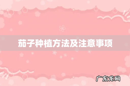 茄子种植方法及注意事项