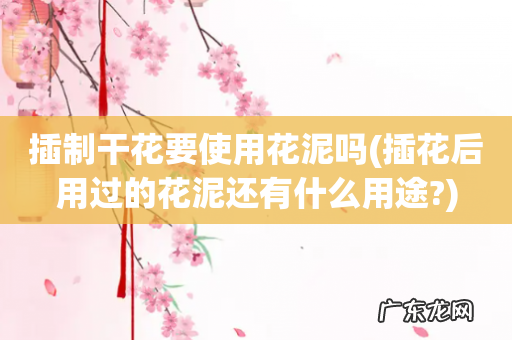 插花后用过的花泥还有什么用途? 插制干花要使用花泥吗