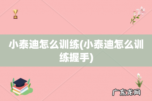 小泰迪怎么训练握手 小泰迪怎么训练