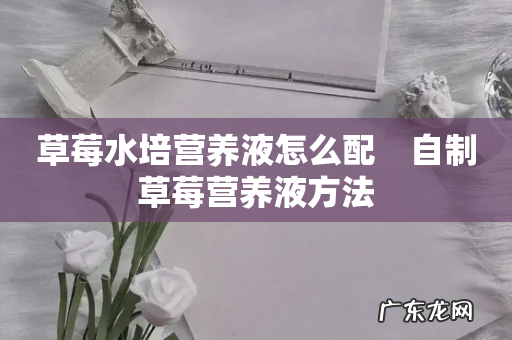 草莓水培营养液怎么配 自制草莓营养液方法