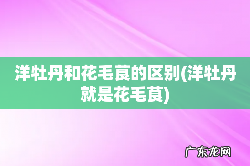洋牡丹就是花毛茛 洋牡丹和花毛茛的区别
