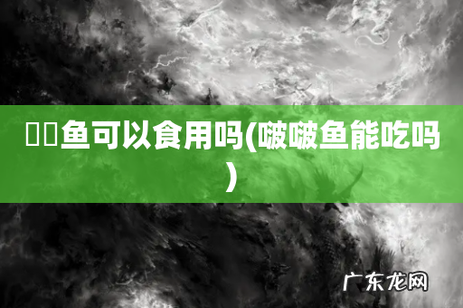 啵啵鱼能吃吗 鳑鲏鱼可以食用吗