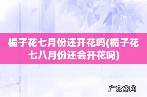 栀子花七八月份还会开花吗 栀子花七月份还开花吗