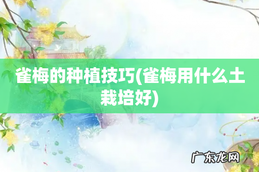 雀梅用什么土栽培好 雀梅的种植技巧