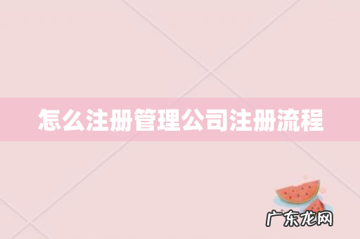 怎么注册管理公司注册流程