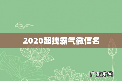 2020超拽霸气微信名