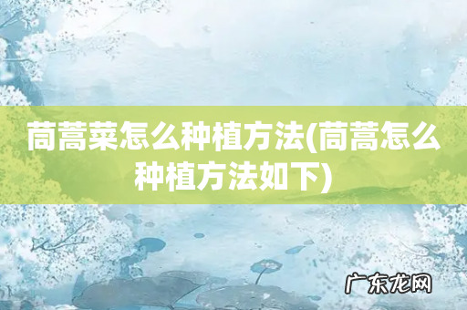 茼蒿怎么种植方法如下 茼蒿菜怎么种植方法