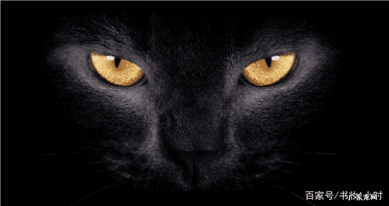 玩具修理项目介绍 玩具修理者