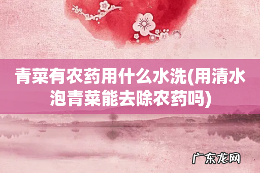 用清水泡青菜能去除农药吗 青菜有农药用什么水洗