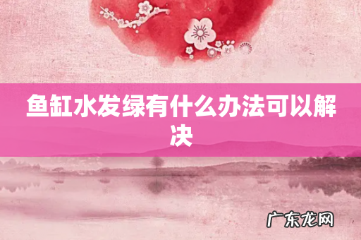 鱼缸水发绿有什么办法可以解决