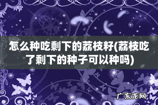荔枝吃了剩下的种子可以种吗 怎么种吃剩下的荔枝籽