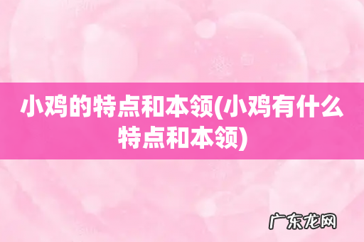 小鸡有什么特点和本领 小鸡的特点和本领