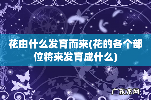 花的各个部位将来发育成什么 花由什么发育而来