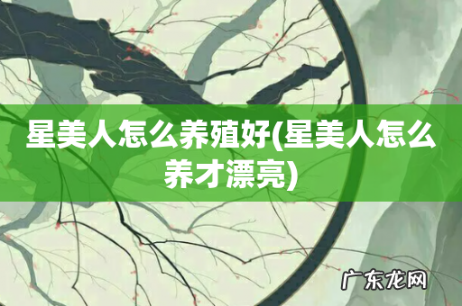 星美人怎么养才漂亮 星美人怎么养殖好