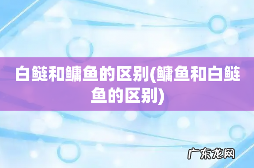 鳙鱼和白鲢鱼的区别 白鲢和鳙鱼的区别