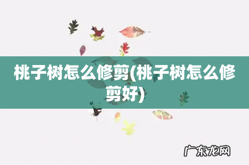 桃子树怎么修剪好 桃子树怎么修剪