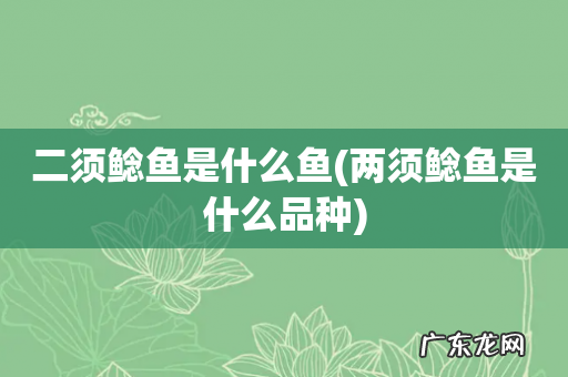 两须鲶鱼是什么品种 二须鲶鱼是什么鱼
