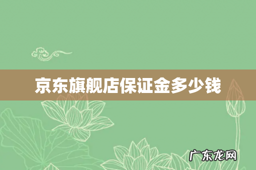 京东旗舰店保证金多少钱