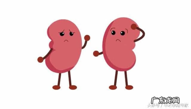 尿常规14项的检查分析结果 尿常规检查结果怎么看