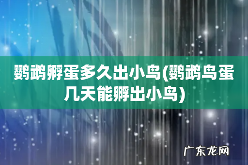 鹦鹉鸟蛋几天能孵出小鸟 鹦鹉孵蛋多久出小鸟