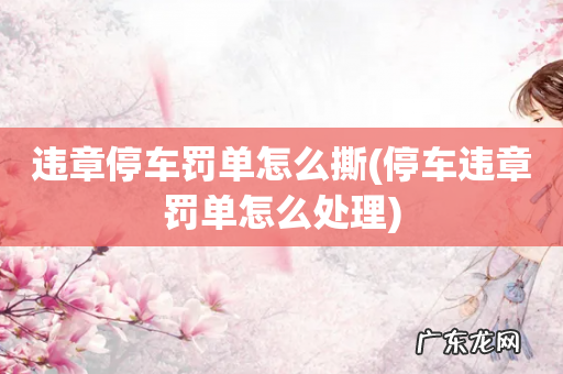 停车违章罚单怎么处理 违章停车罚单怎么撕