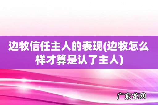 边牧怎么样才算是认了主人 边牧信任主人的表现